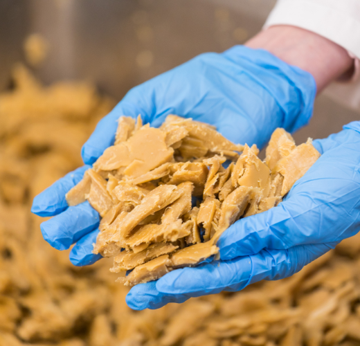 Planted : une spin-off de l'ETH Zurich lance une "alternative à la viande de poulet" végétalienne en Autriche