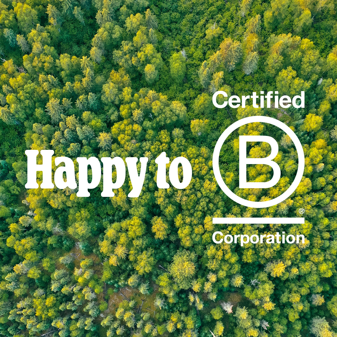 Planted riceve la certificazione B Corp