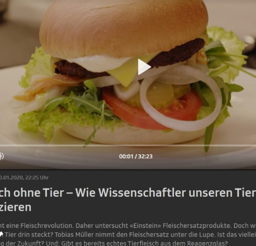 Einstein - Meat without animals